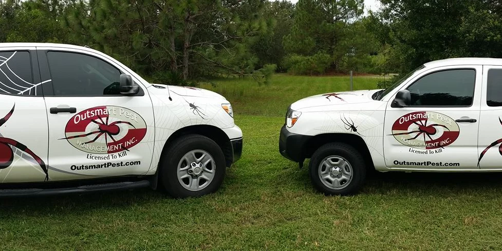 Zephyrhills&nbsp;Pest Control Services 