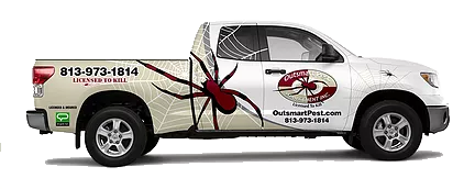 Zephyrhills&nbsp;Pest Control Services 